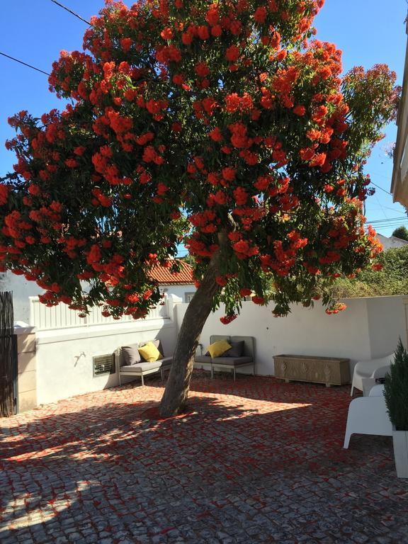 Cosy Sintra Hotel Екстериор снимка